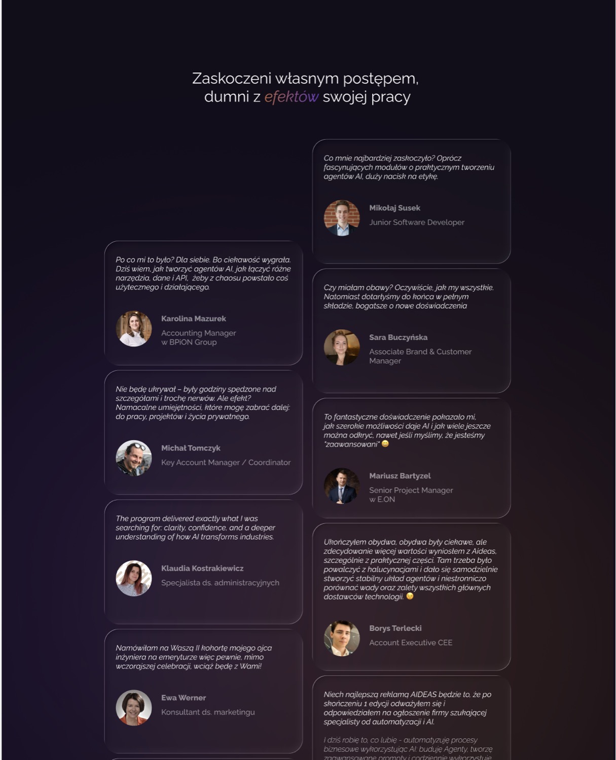 AIDEAS — widok strony internetowej 2