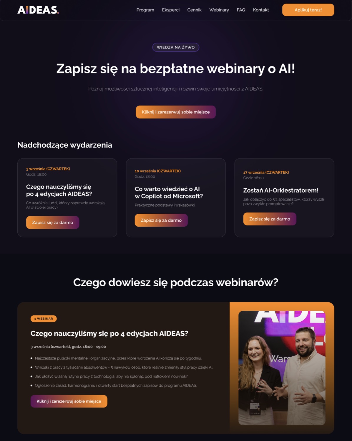 AIDEAS — widok strony internetowej 3